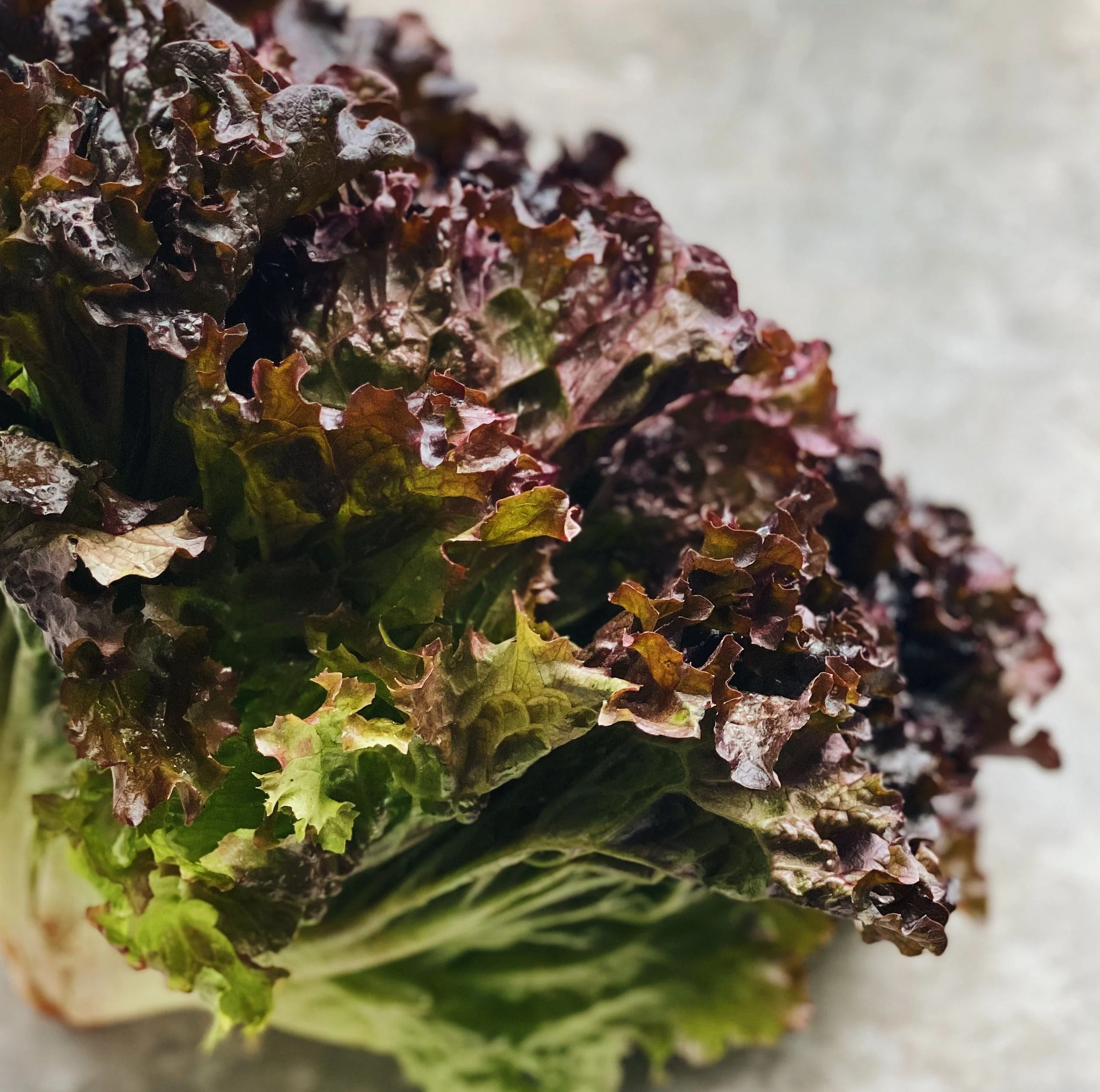 Produce + Dairy